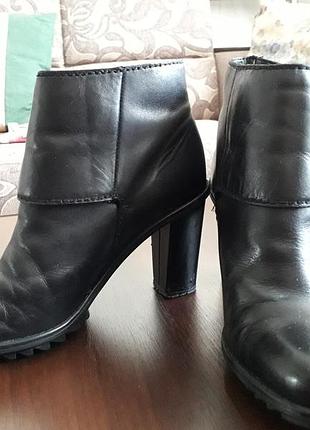 Стильные полусапожки от clarks.