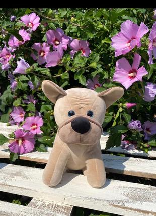 М’яка іграшка песик французький бульдог