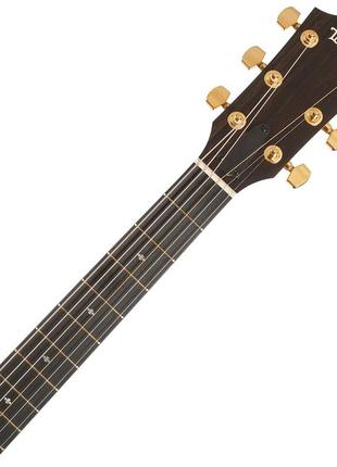 Электроакустическая гитара taylor guitars 214ce-k dlx6 фото