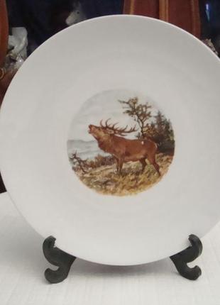 Антикварная тарелка - блюдо охота лось фарфор бавария германия №9351 фото