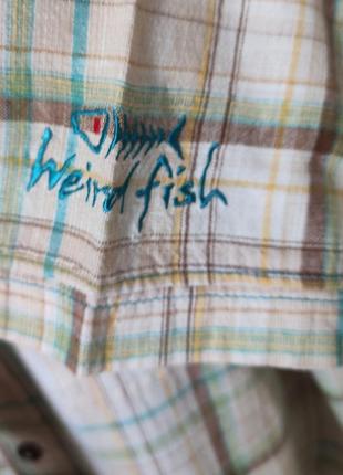 Рубашка, рубашка мужскаяweird fish, р.l(48,50)