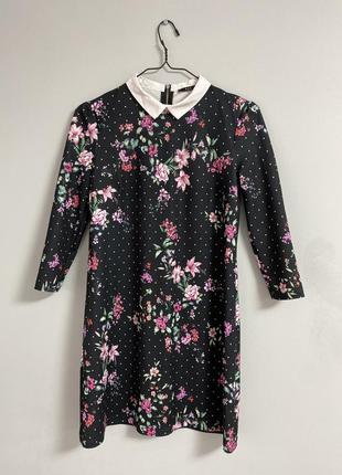 Сукня