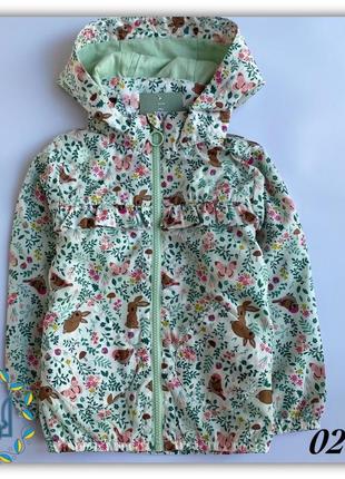Вітровка h&m