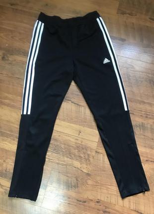 Спортивние штаны adidas original