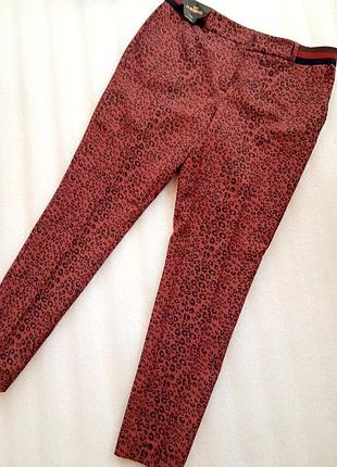 Брючкі next tailoring.на всі сезони підійдуть