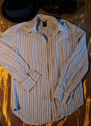 Рубашка белая в сине-голубую полоску котон gap индия