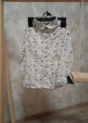 Сорочечка next