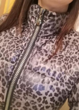 Куртка леопардовая на синтепоне6 фото