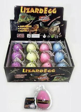 Зростаючі тварини в яйці с 50508 (30)