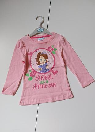 Брендовая кофта реглан лонгслив