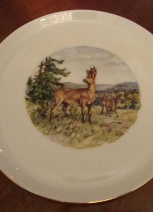 Старинная тарелка охота олень фарфор бавария германия №10703 фото