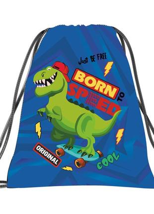 Сумка для взуття та одежи hipe діно 46х33 см арт.979280