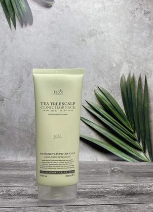 ✨маска - пілінг для шкіри голови з чайним деревом lador tea tree scalp clinic hair pack, 200мл