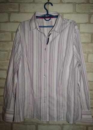 Белая рубашка большого размера в полоску frank walder