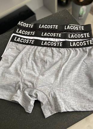Мужской набор трусов lacoste black 5 шт + носки 8 пар