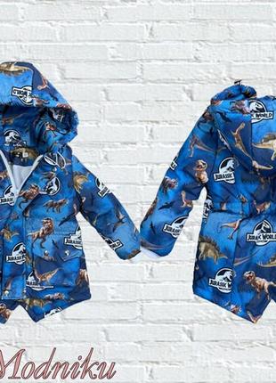 Дитяча демісезонна парка для хлопчика