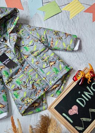 Дитячяа демісезонна парка  для хлопчика