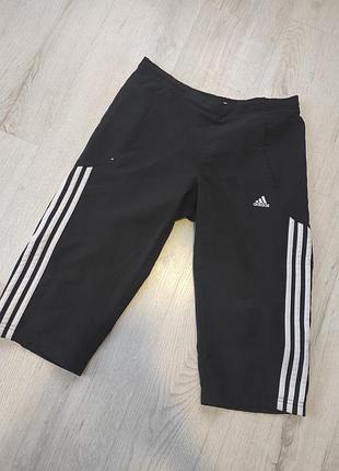 Бриджи adidas originals