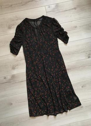 Подвійне плаття-сітка сітчасте плаття з драпіруванням у квітковий принт miss selfridge3 фото