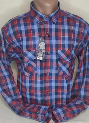 Тепла чоловіча сорочка, чоловічі сорочки кашемір (туреччина) cottarelli vd-0140 класична синя картата