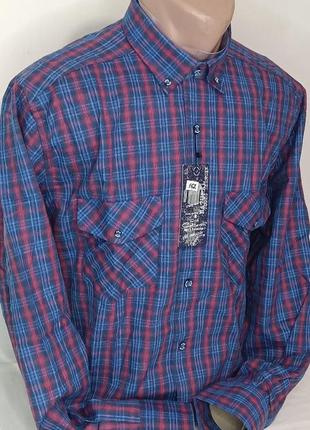 Тепла чоловіча сорочка, чоловічі сорочки кашемір (туреччина) cottarelli vd-0152 класична синя картата