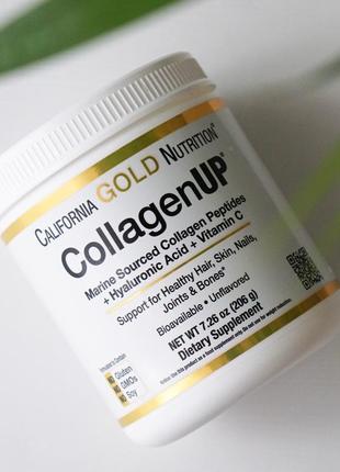 Collagenup california gold nutrition