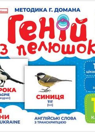 Карточки домана геній з пелюшок. птахи україни. демонстраційний матеріал 10107193у2 фото