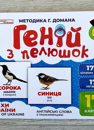 Карточки домана геній з пелюшок. птахи україни. демонстраційний матеріал 10107193у
