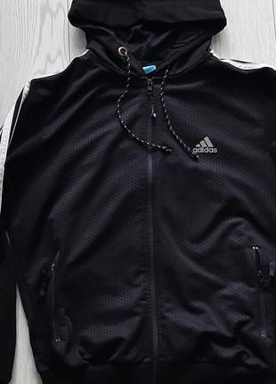 Кофта   adidas l