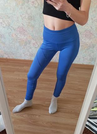 Лосіни