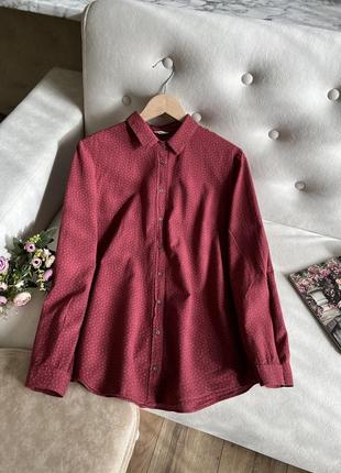 Бавовняна бордова сорочка