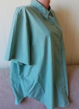 Светлозеленая блуза, батал, р. 22, от damart, пог 66 см3 фото