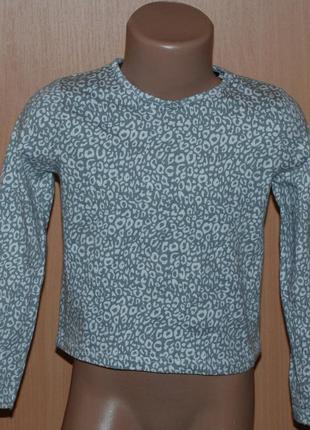 Реглан на девочку бренда george/ 100%хлопок/