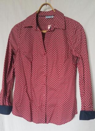 Блуза з бавовни