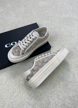 Кеди кросівки coach