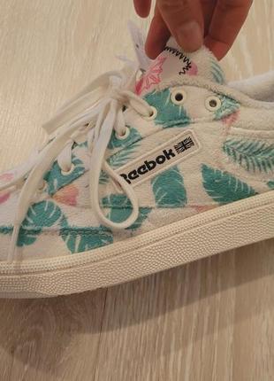 Кроссовки reebok club c85 fw12667 фото