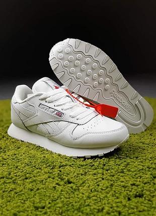 Reebok classic белые на белой