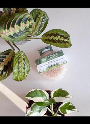 В наявності ecotools, щітка для сухого масажу iherb айхерб