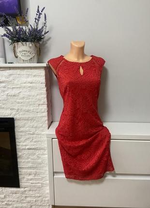 Платия ажурне wallis