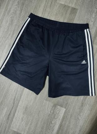 Чоловічі шорти/adidas/ спортивні шорти/сині шорти/
