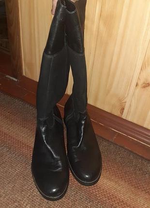 Сапожки демисезон.