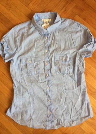 Бавовняна сорочка від h&m ! p.-44