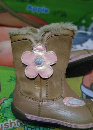 Демисезонные осенние сапожки ботинки для девочки clarks3 фото
