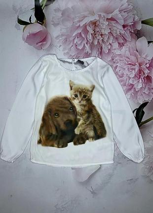 Лонгслів реглан