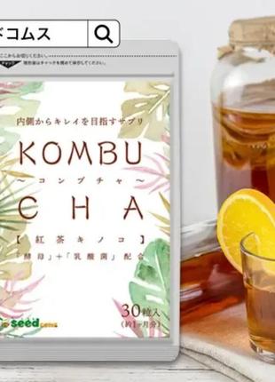 Kombucha нормализация пищеварения и восстановление с чайным грибом на 30 дней1 фото