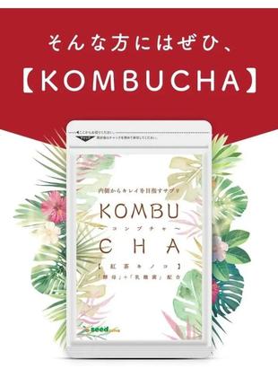 Kombucha нормализация пищеварения и восстановление с чайным грибом на 30 дней2 фото