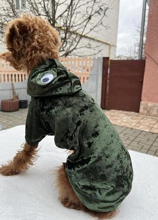 Одежда для собаки велюровый лягушка с ушками глазки на капюшоне
