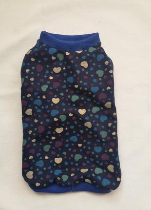 Одяг для тваринок