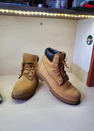 Ботинки timberland primaloft2 фото