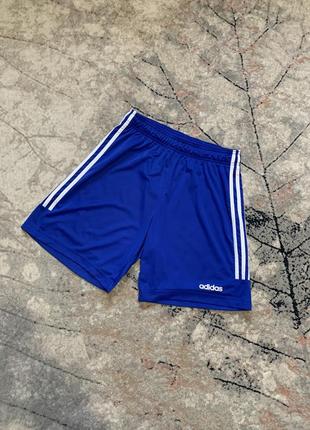 Спортивные шорты adidas climalite